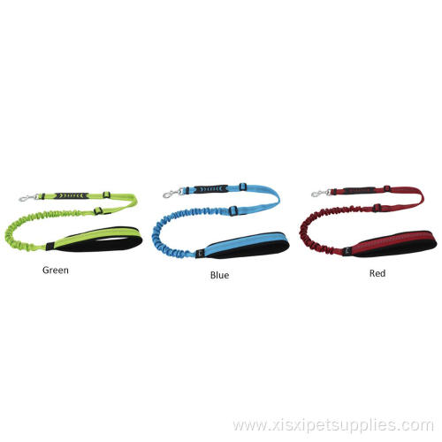 Dog Bungee Leash Material Lights Personalized Padded Feather